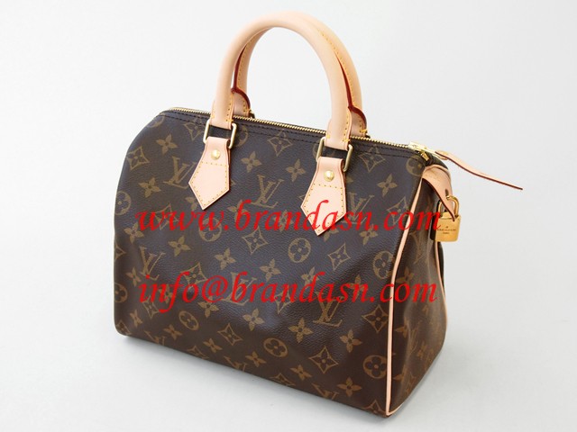 CEBg LOUISVUITTON mO@Xs[fB25 M41528